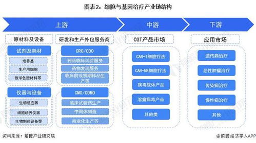 抗癌效力提高100倍 研究展示新的t细胞疗法 有望开启实体瘤免疫治疗新时代