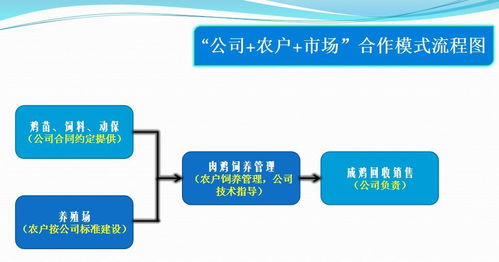 新建元江养殖公司意向养户观摩座谈会胜利召开